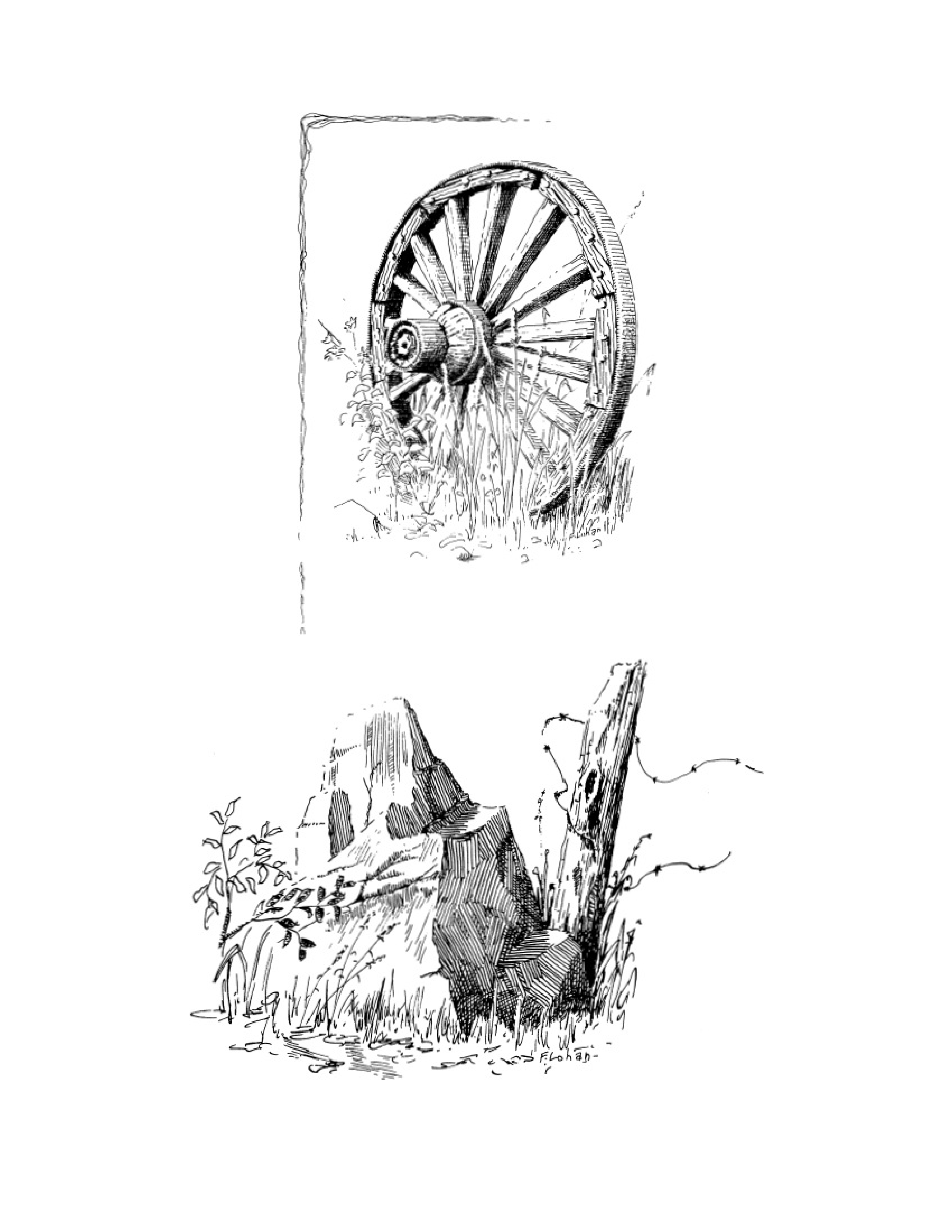 آموزش نقاشی طراحی سیاه قلم شهرری